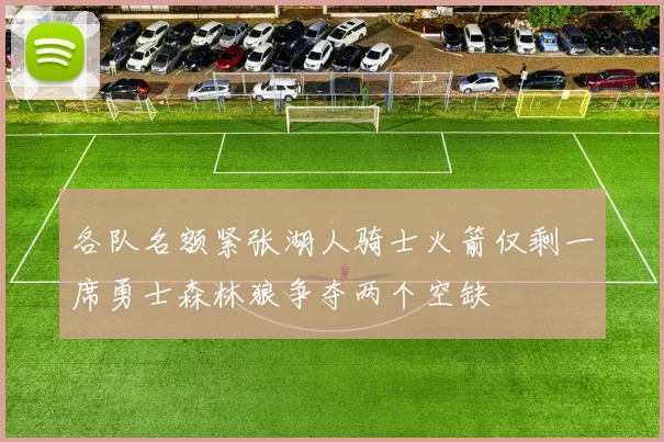 各队名额紧张湖人骑士火箭仅剩一席勇士森林狼争夺两个空缺