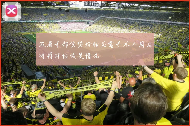 浓眉手部伤势好转无需手术六周后将再评估恢复情况